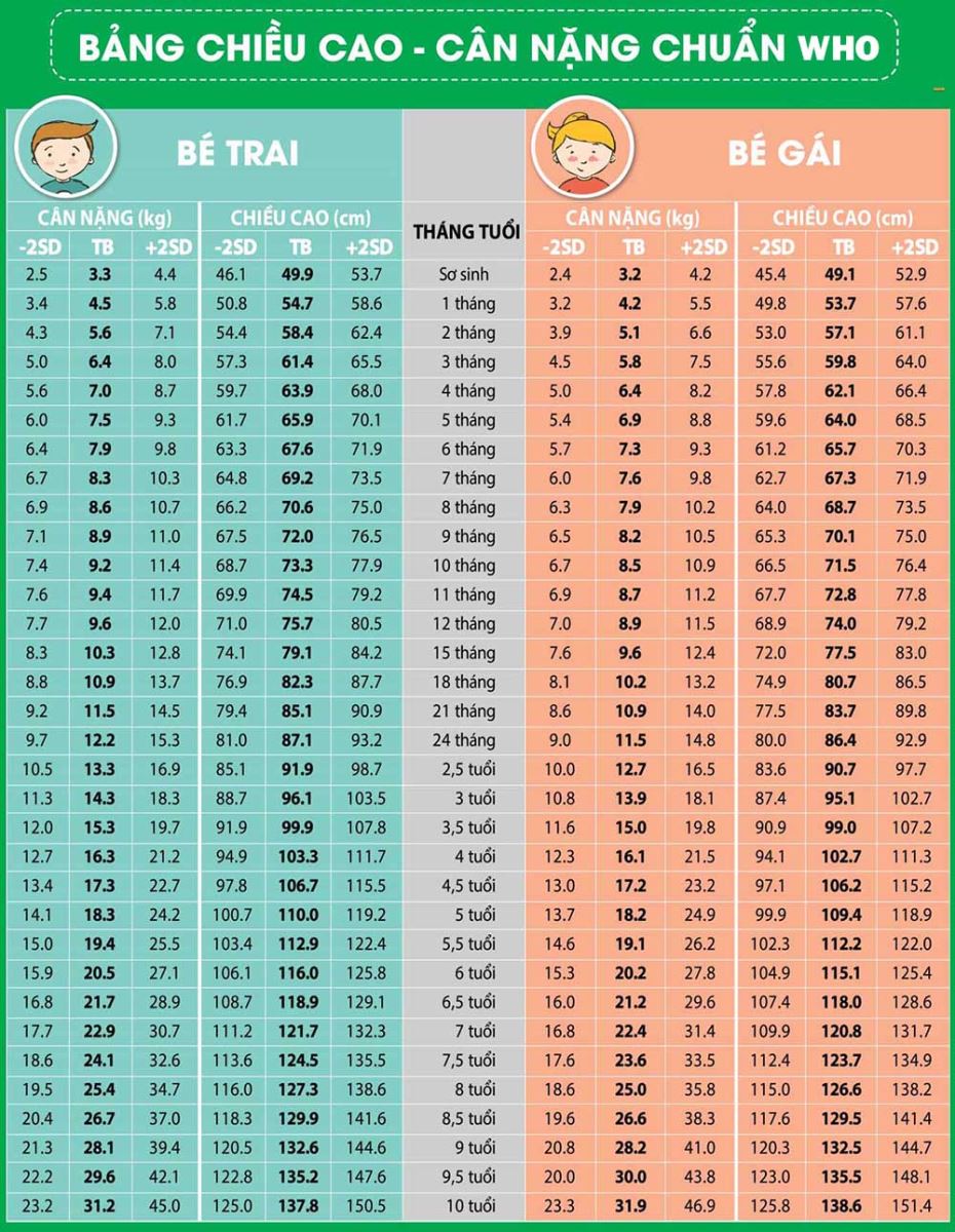 Bảng Chiều Cao Cân Nặng Chuẩn Của Tổ Chức Y Tế Thế Giới (WHO) Cho Bé 0-5 Tuổi