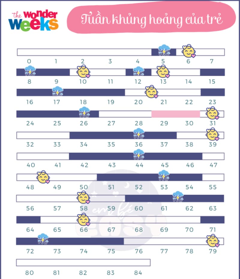 Tuần Hoảng Loạn (Wonder Weeks) Của Trẻ Sơ Sinh: Mẹ Cần Biết Để Không Bị Stress